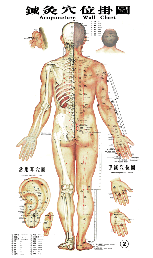 acupuncture for back pain, london