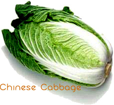 Chisense food therapy for cold and flu, gouqi, chinese cabbage recipe
